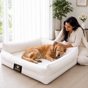 Paltoos Luxe Lounge Bed