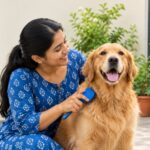 Dog hygiene brushing coat at home