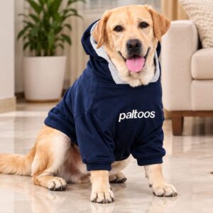 Paltoos premium cotton dog hoodie in Navy Blue worn by a Labrador