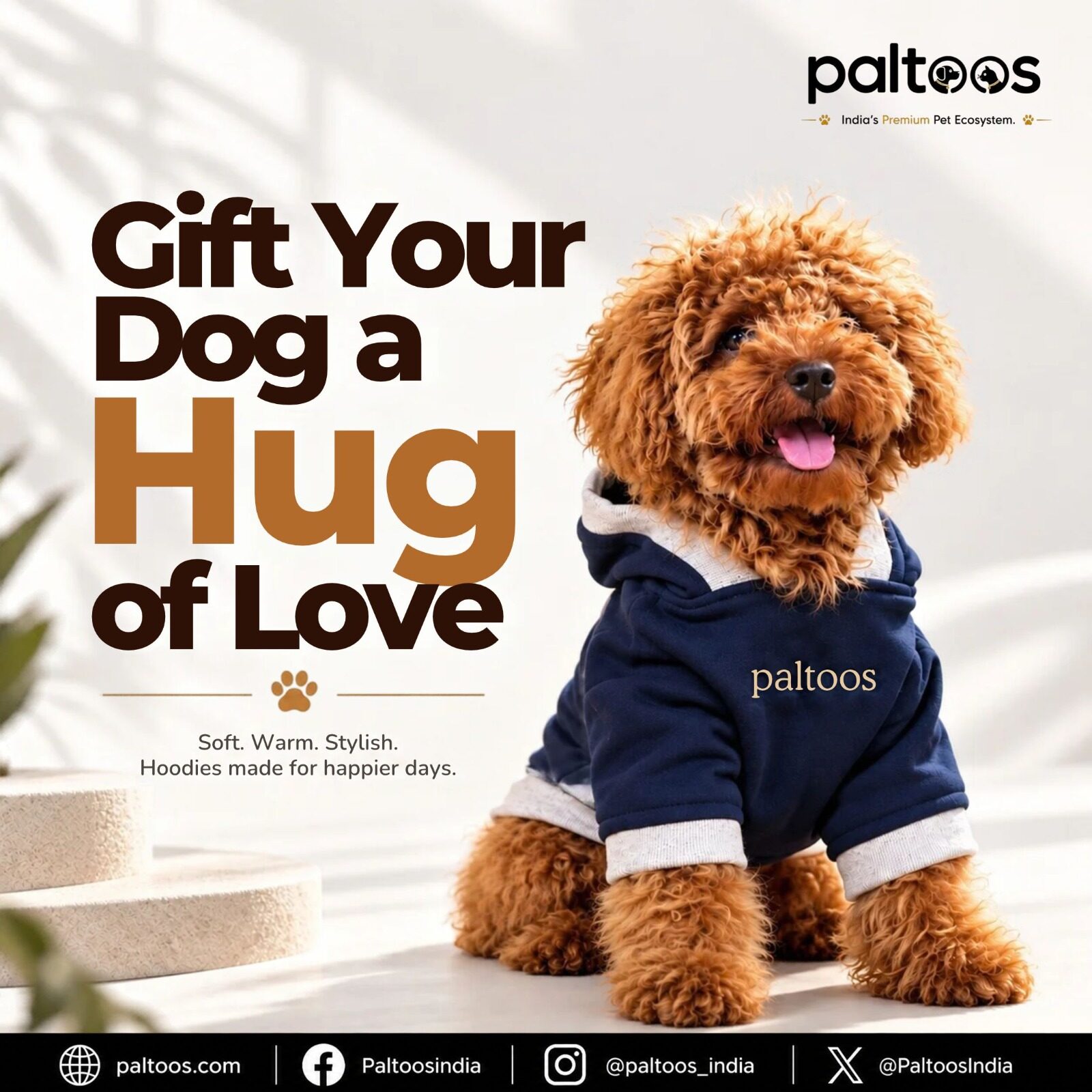 Poodle in the Paltoos premium cotton dog hoodie in Navy Blue