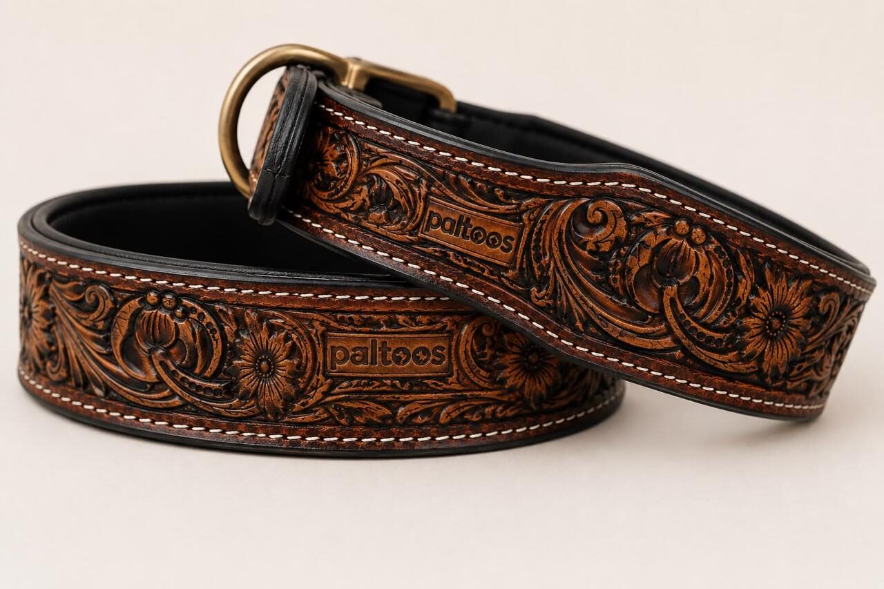 Paltoos Signature Leash & Collar Set