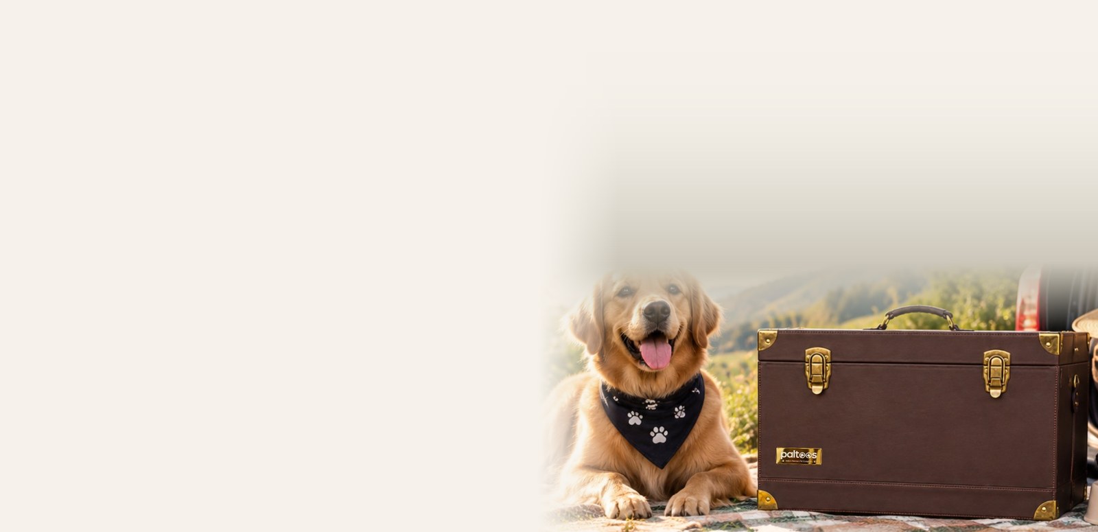 Golden retriever beside the Paltoos Travel cum Utility Bag outdoors