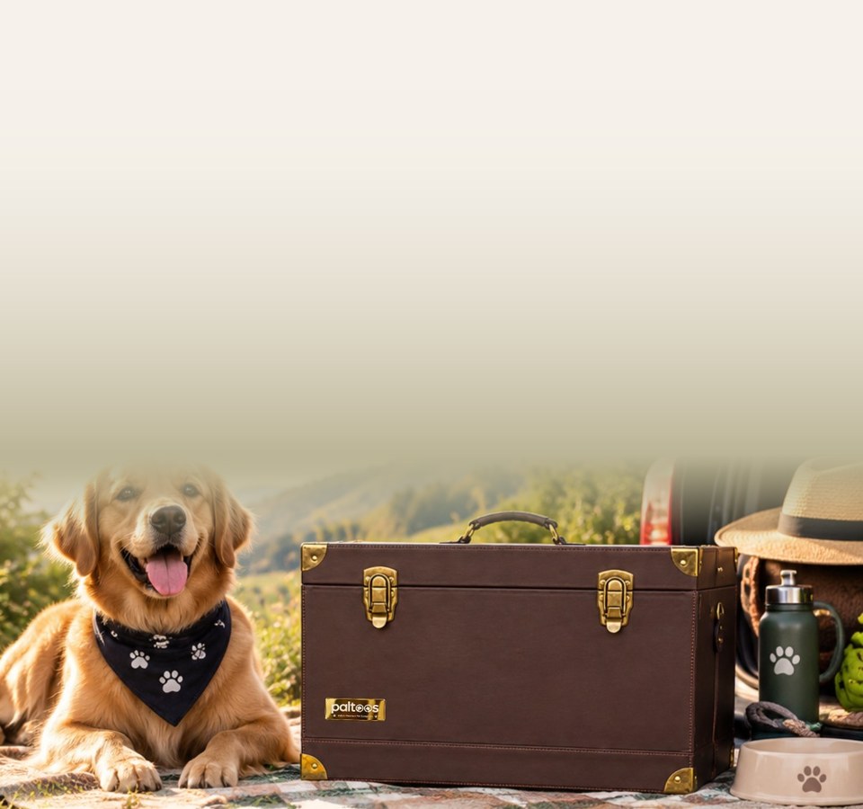 Golden retriever beside the Paltoos Travel cum Utility Bag outdoors
