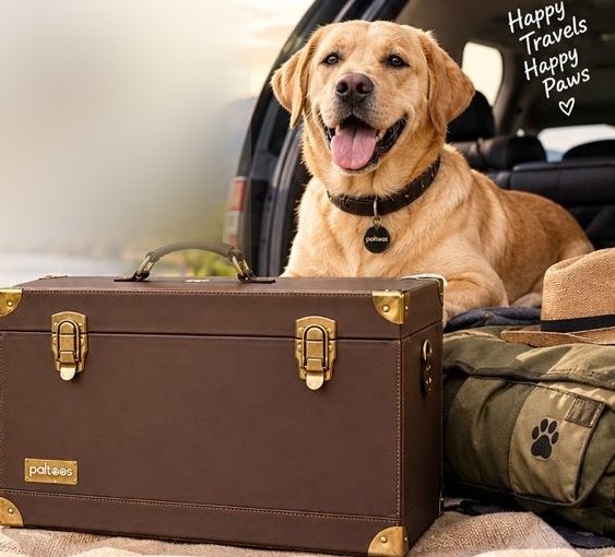 Paltoos Travel cum Utility Bag